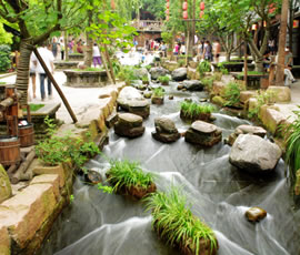 千年水碼頭、古鎮(zhèn)黃龍溪一日游